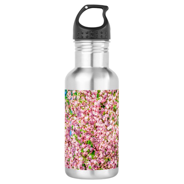 Bouteille D'eau En Acier Inoxydable Plum à fleurs (Devant)