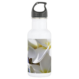 Bouteille D'eau En Acier Inoxydable Plumeria Fleurs tropicales