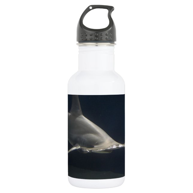 Bouteille D'eau En Acier Inoxydable Requin de poisson-marteau (Devant)