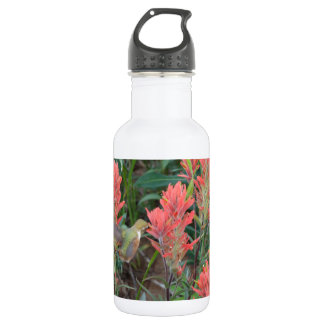 Bouteille D'eau En Acier Inoxydable Ruby aux fleurs rouges Colibri