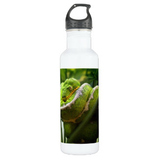 Bouteille D'eau En Acier Inoxydable Serpent d'arbre