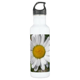 Bouteille D'eau En Acier Inoxydable Shasta Daisy (Chrysanthemum maximum)