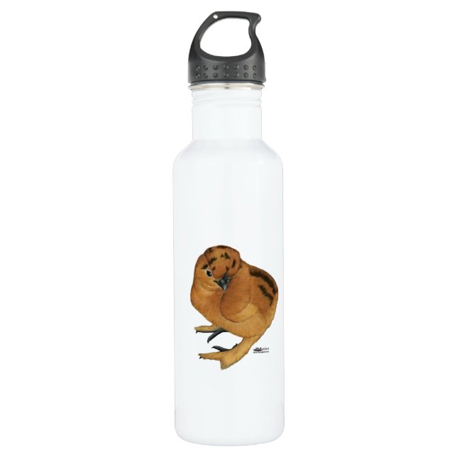 Bouteille D'eau En Acier Inoxydable Silkie Red Chick (Devant)
