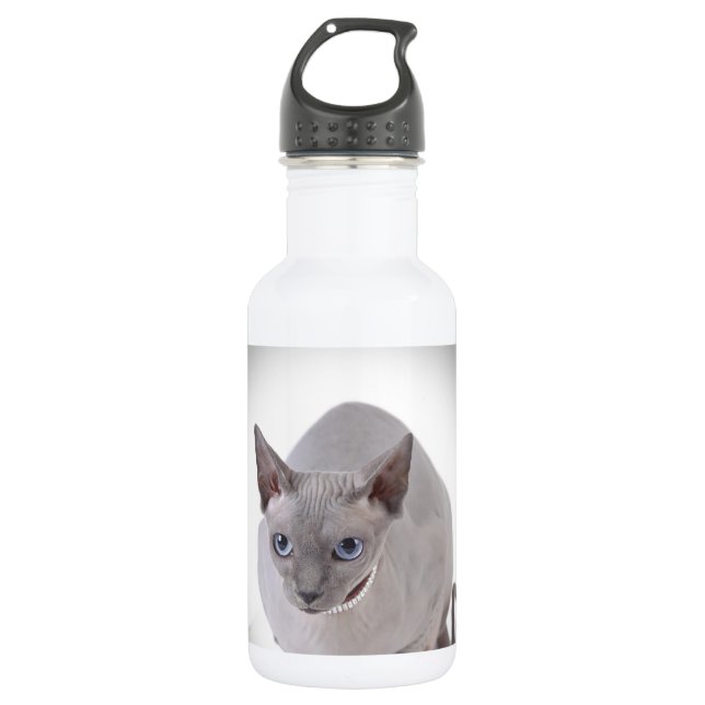 Bouteille D'eau En Acier Inoxydable Sphynx (Devant)
