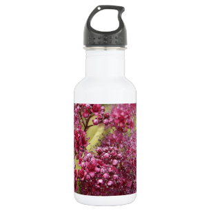 Bouteille D'eau En Acier Inoxydable Spirea rose