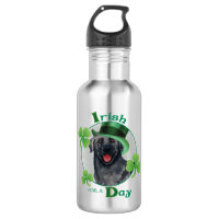 St. Patrick's Day Black Lab
