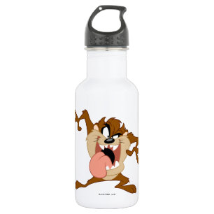 Bouteille D'eau En Acier Inoxydable TAZ™  Sticking Out