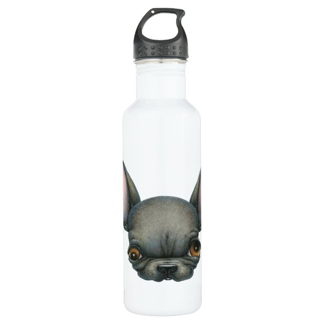 Bouteille D'eau En Acier Inoxydable Tête de Batdog (Devant)