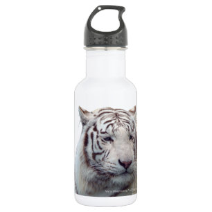 Bouteille D'eau En Acier Inoxydable Tigre en voie de disparition
