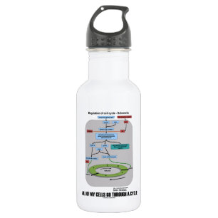 Bouteille D'eau En Acier Inoxydable Toutes mes cellules passent par un cycle (la