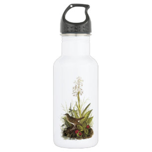 Bouteille D'eau En Acier Inoxydable Veery par Audubon