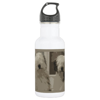 Bouteille D'eau En Acier Inoxydable Vieux chiens de berger anglais