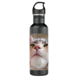 Bouteille D'eau En Acier Inoxydable Visage de chat