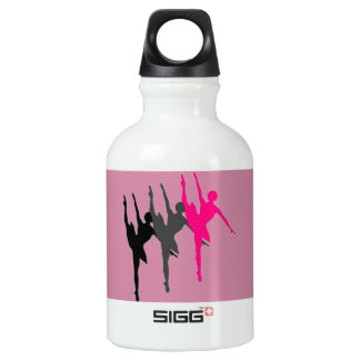 Bouteille D'eau En Aluminium SIGG Traveller (0.3L)