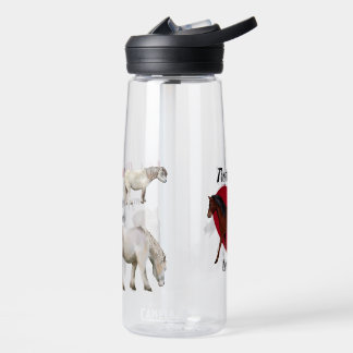 Bouteille D'eau Enseignant amoureux des chevaux