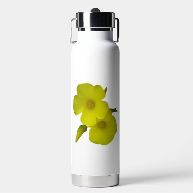 BOUTEILLE D'EAU FLASK INSULATÉE THOR ART&DESIGN (Salle de sport)