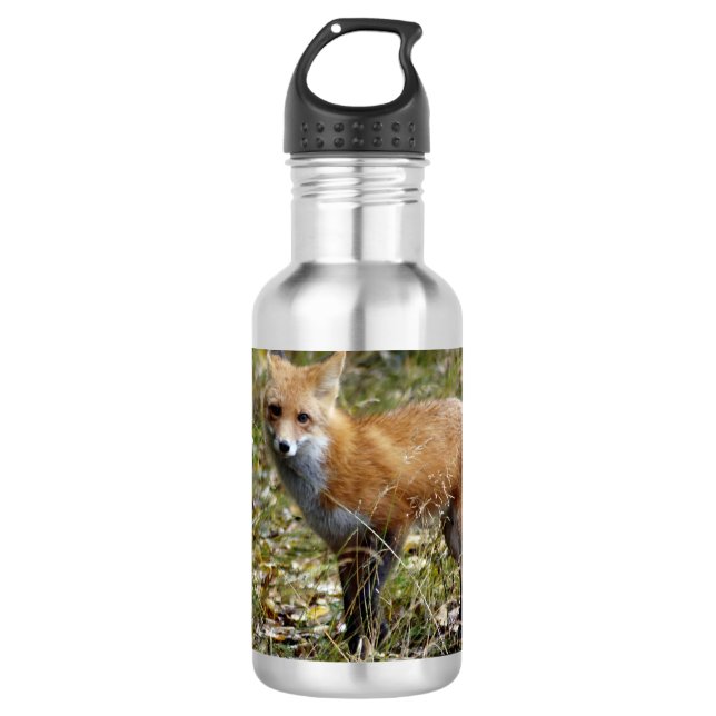 Bouteille D'eau Fox (Devant)