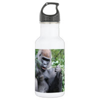 gorilles de silverback