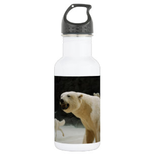 Bouteille D'eau Graine d'ours polaire