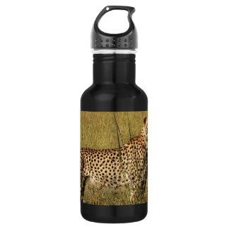Bouteille D'eau Guépard africain sauvage dans des herbes de la