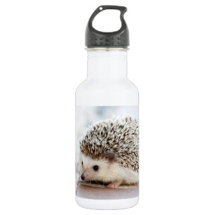 Bouteille D'eau Hérisson mignon de bébé