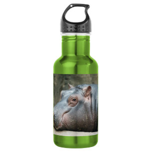 Bouteille D'eau Hippopotame