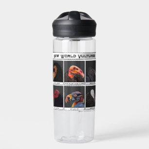 Bouteille D'eau Illustration des vautours du nouveau monde