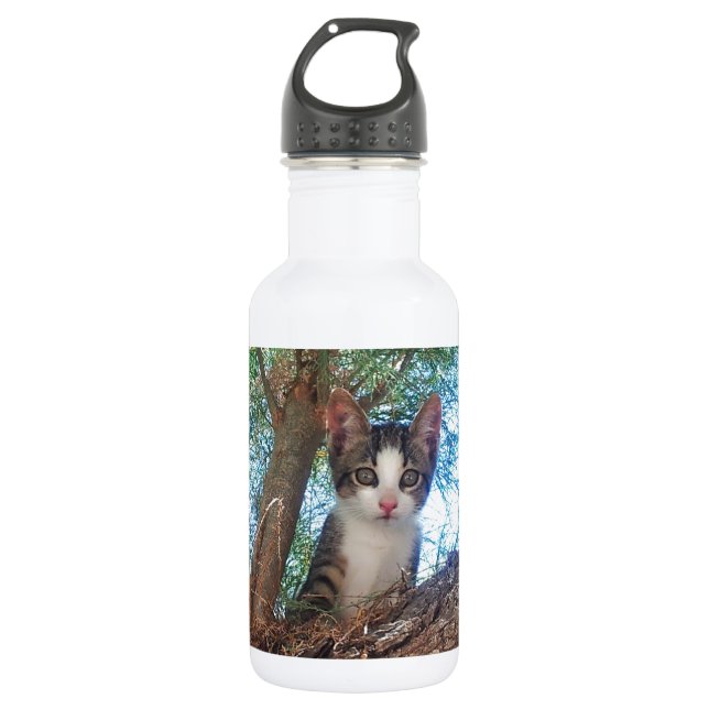 Bouteille D'eau Joli petit chaton jouant dans les bois (Devant)