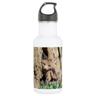 Bouteille D'eau Kit Fox dans la vallée de l'Hudson