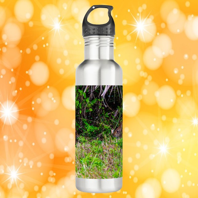 Bouteille D'eau Lapins lapins dans l'herbe Floride (A cute water bottle with a photo of two bunny rabbits.)