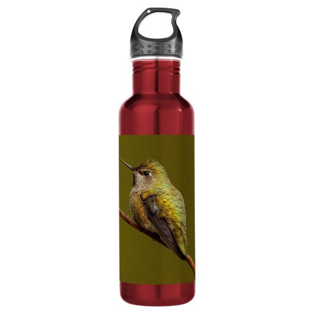 Bouteille D'eau Le colibri d'Anna sur une branche (Devant)