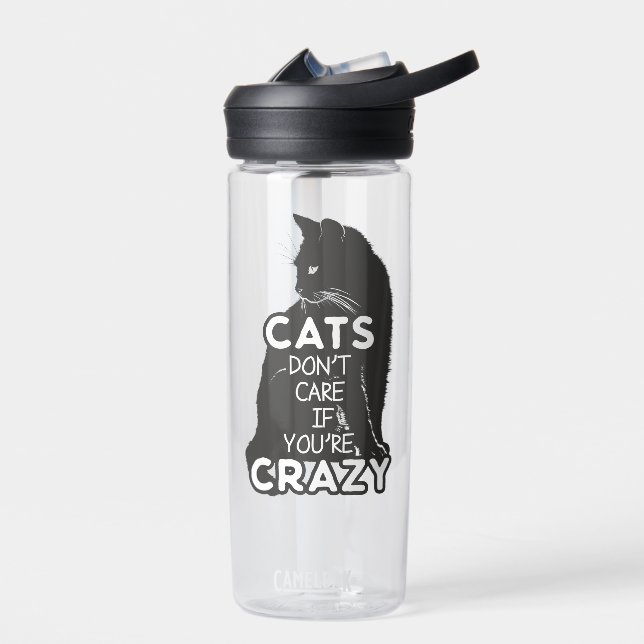 Bouteille D'eau Les chats s'en fichent si vous êtes fou CamelBak E (Gauche)