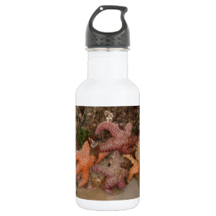 Bouteille D'eau Les étoiles de mer/étoiles de mer dans le canon