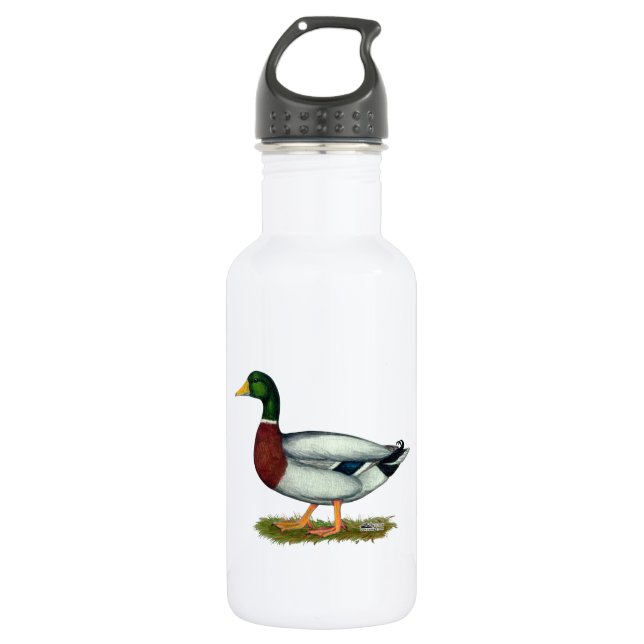 Bouteille D'eau Mallard Duck Drake (Devant)