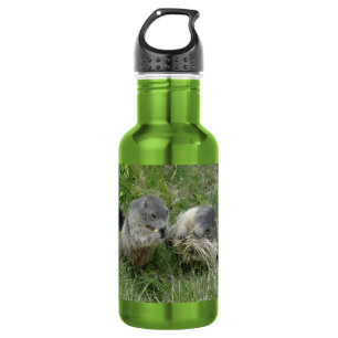 Bouteille D'eau Marmottes