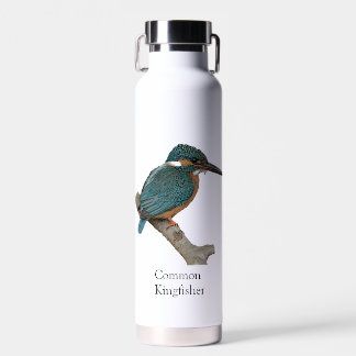 Bouteille d'eau Martin-pêcheur commun