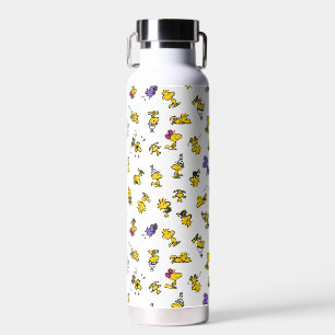 Bouteille D'eau Motif de loisirs Woodstock
