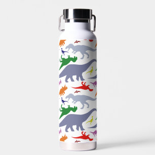 Bouteille D'eau Motif Dinosaure coloré (Lumière)