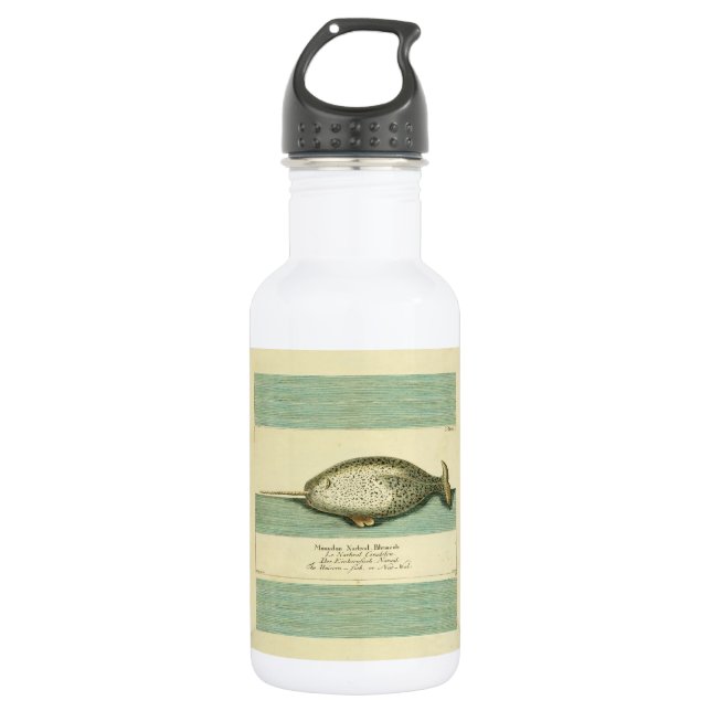 Bouteille D'eau Narwhal Antique Baleine Aquarelle Art scientifique (Devant)