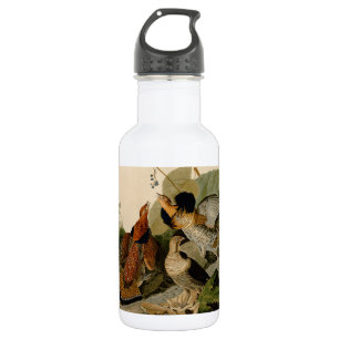 Bouteille D'eau Oiseau de gibier Audubon