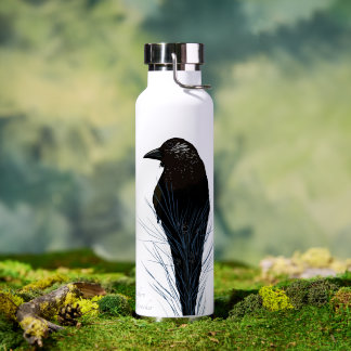 Bouteille D'eau Oiseaux - Cassenoix du sud