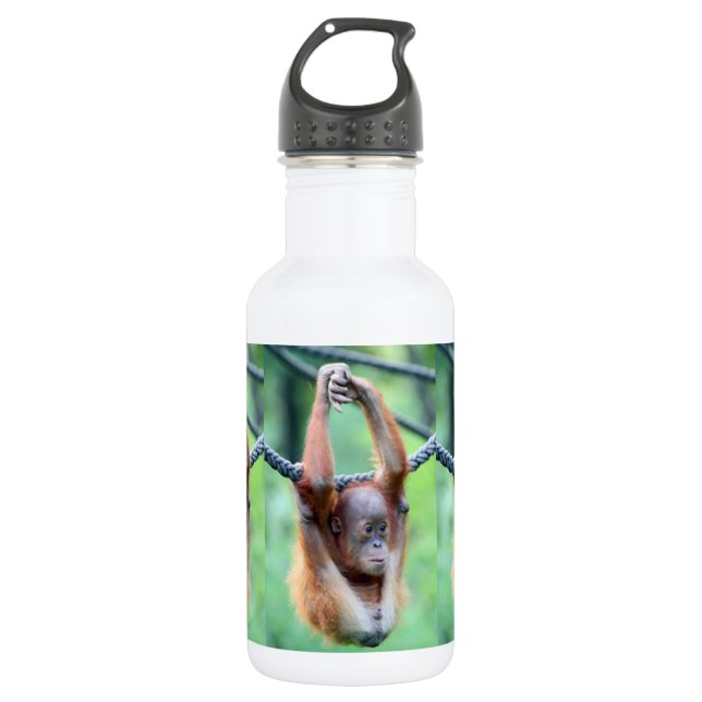 Bouteille D'eau Orang Utan 028 (Devant)
