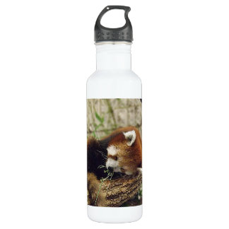 Bouteille D'eau Panda rouge de sommeil mignon avec la nourriture