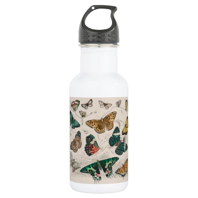 Bouteille D'eau Papillons Collection Antique Papillons (Devant)