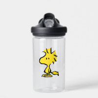 Peanuts | Snoopy's Friend Woodstock