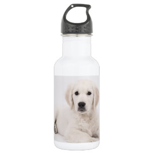 Bouteille D'eau Photo de Golden Retriever