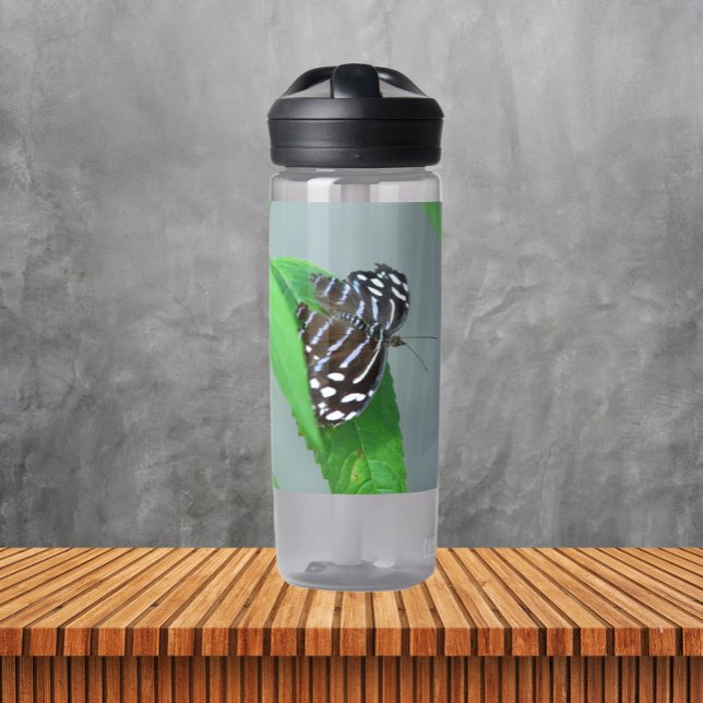 Bouteille D'eau Photo Royal Blue Butterfly (In Situ Table)