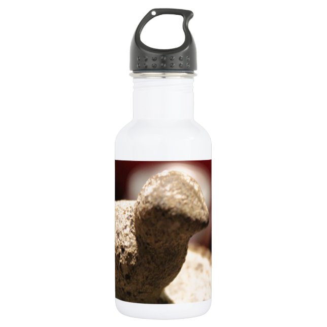 Bouteille D'eau Pierre d'oiseaux (Devant)