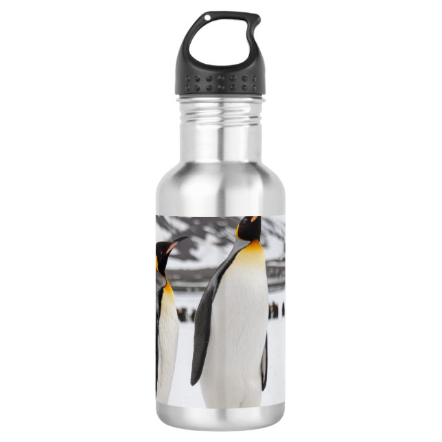 Bouteille D'eau Pingouins du Roi (Devant)