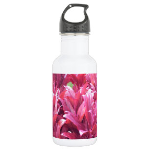 Bouteille D'eau Plante de congé de Ti d'Hawaï